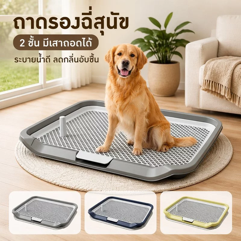 ถาดรองฉี่สุนัข ห้องน้ำสุนัข ถาดรองฉี่สัตว์เลี้ยง 2 ชั้น มีเสาถอดได้ ระบายน้ำดี ทนทานนานมาก ลดกลิ่นอับชื้น