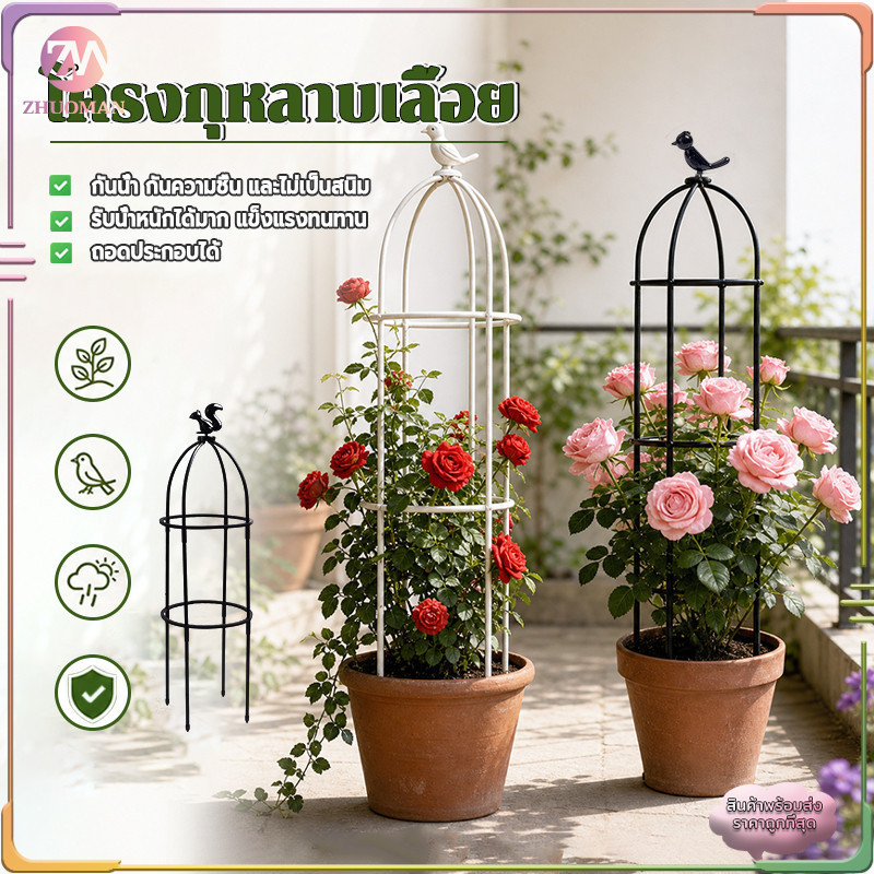 โครงกุหลาบเลื้อย ขาตั้งดอกไม้เลื้อย โครงกุหลาบ กันสนิม นี้เหมาะสำหรับปลูกพืชปีนและดอกไม้ยืนต้น ติดตั้งง่าย