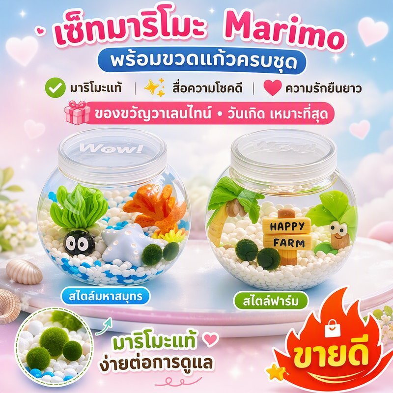 เซ็ทมาริโมะ Marimo พร้อมขวดแก้วครบชุด มาริโมะแท้สื่อความโชคดีและความรักยืนยาว เหมาะเป็นของขวัญวาเลนไทน์ วันเกิด