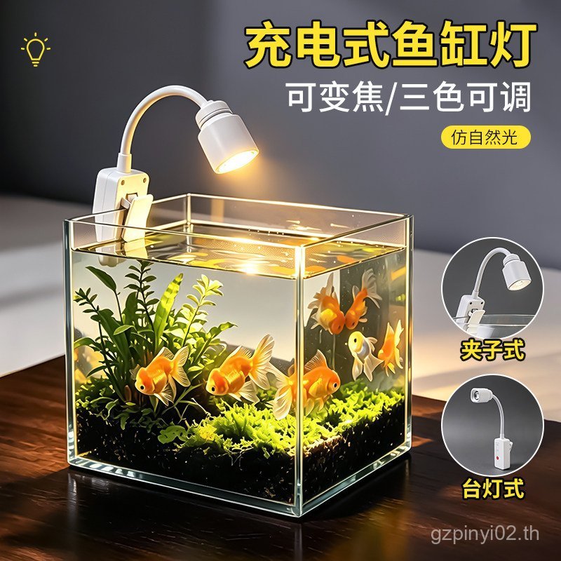 คลิปพร้อม Stocklight สายไฟฟรีตู้ปลาป้องกันดวงตาไฟตกปลาแพป้องกันแสงสะท้อนข้างเตียงไฟ led แบบพกพาแบบชา
