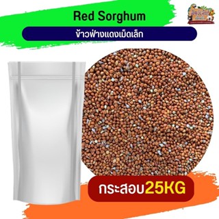 ข้าวฟ่างแดงเม็ดเล็ก อาหารเสริมนกทุกสายพันธุ์ 25Kg.