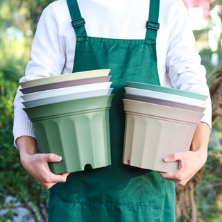 กระถาง กระถางต้นไม้พลาสติกสีขาว กระถางต้นไม้ ทรงกลม ตล์มินิม…