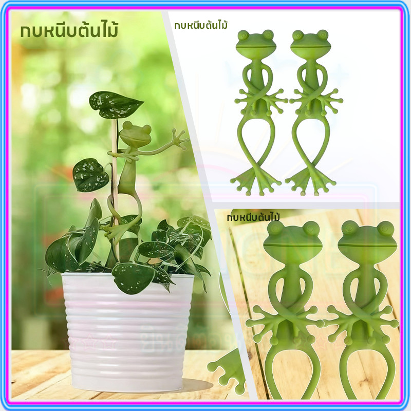 ⚡ถูกที่สุด⚡อุปกรณ์พยุงพืช รูปร่างกบน่ารัก น่ารักขอบถ้วยพืชคงพันธมิตรการขยายพันธุ์พืช แก้ไขกิ่งไม้ ตกแต่งกระถาง