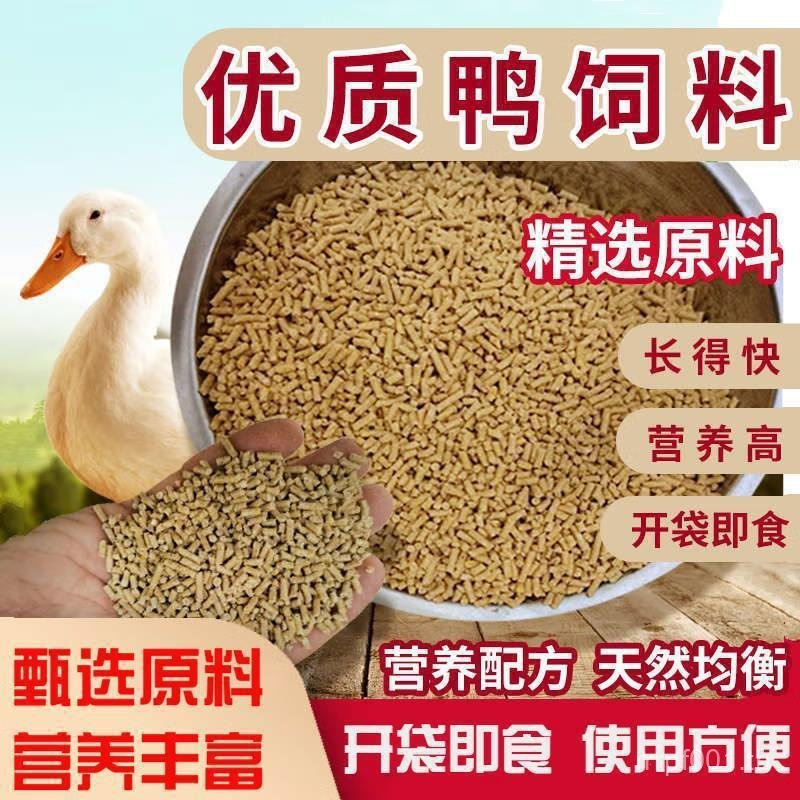 Nest Feeding Farm Duckling Duckling Duck Pellet Feed Laying Egg Open Meat Duck Feeding Duck Feed Ful
