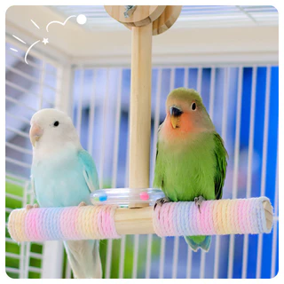 ของเล่นนก ของเล่นนกชิงช้านก บันไดนก สะพานนก บันไดนก คอนนกไม้ เชือกฝ้ายพัน แกว่งเสา ความสบายของเท้า