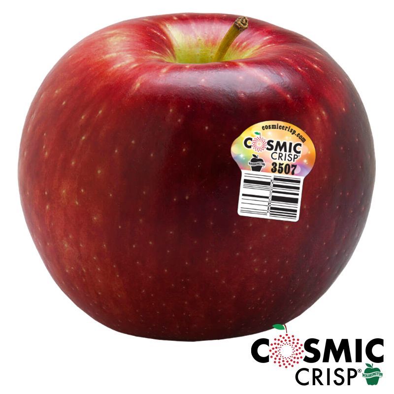 แอปเปิ้ลคอสมิคคริสป์ Cosmic Crisp Apple [หมายเลขบาร์โค้ด 0216623000000 ] สินค้าคุณภาพดี คัดสรรด้วยความใส่ใจ