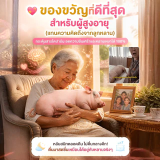 ตุ๊กตาหมอนข้างหมู AI/ตุ๊กตานุ่มนิ่มขนาดใหญ่/ของขวัญสำหรับผู้ใหญ่ใช้นอนได้/หมอนข้างหมู AI ช่วยนอนหลับ/เหมาะกับคนเหงา