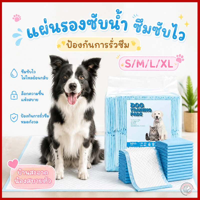 แผ่นรองฉี่สัตว์เลี้ยง สุนัขและแมว ซึมซับน้ำเร็ว ต้านแบคทีเรีย ขจัดกลิ่นดี ใช้กับถาดรองฉี่และกล่องทรายแมวได้