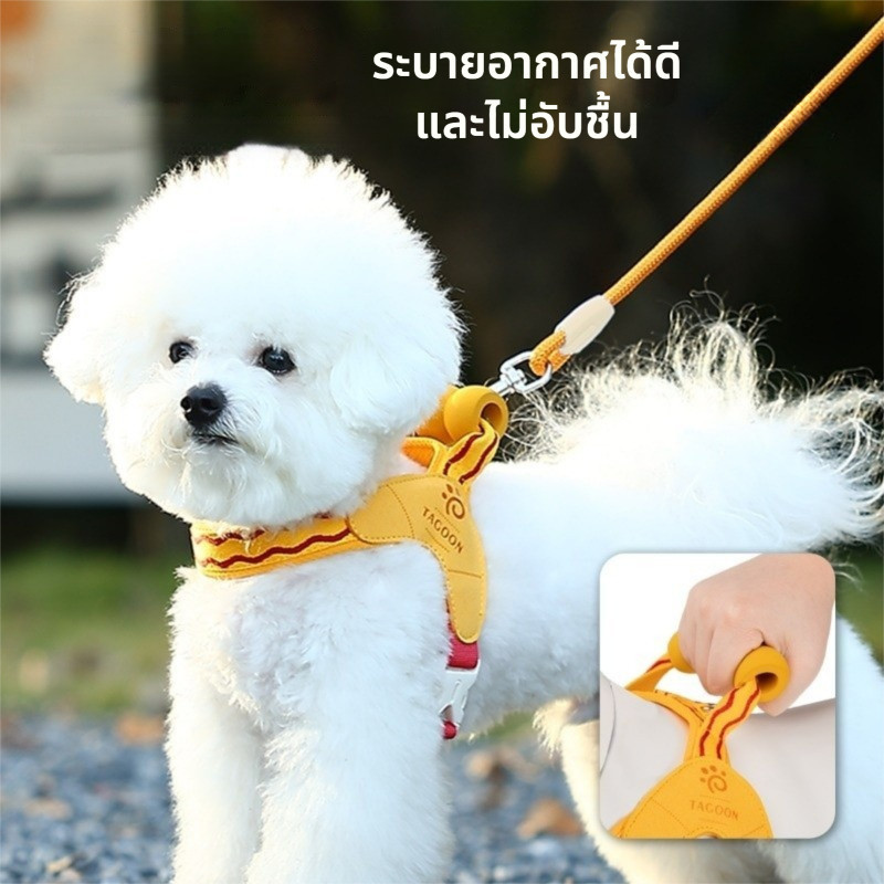 ใหม่สายรัดสุนัขสําหรับสุนัขขนาดเล็กและขนาดกลาง,ชุดสายจูงสุนัขโฟม,ปรับเท็ดดี้บิชอนสายรัดอานอุปกรณ์สัตว์เลี้