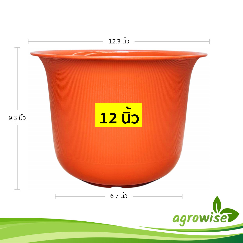 กระถาง กระถางต้นไม้ มินิมอล ถ้วยจีน ขนาด 12 นิ้ว สีอิฐ Bundle 5 ใบ ชิ้น อัน