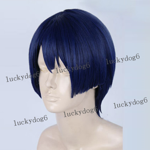 วิกผมคอสเพลย์ Prince of Songs Hizirikawa Masato