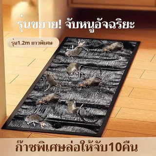 6 แผ่น กาวดักหนู แร็ท กลู กาวเหนียวพิเศษ จับหนู แผ่นใหญ่ขนาด 120*27.5CM เหนียวหนึบพิเศษ ติดทน ไม่ไหลเยิ้ม ปลอดสารพิษ