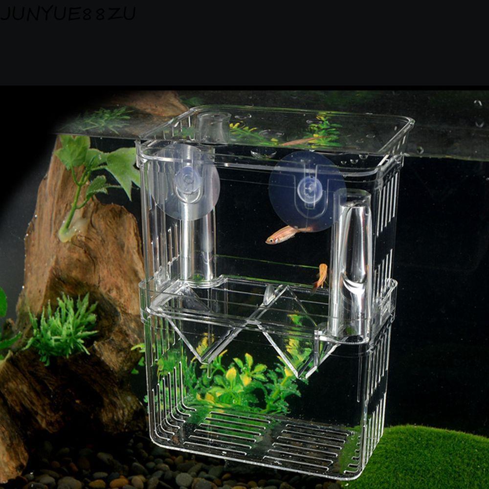 JUNYUE88ZU Hatchery อะคริลิคโปร่งใสพร้อมถ้วยดูดปลาแยกปลา Reproduction Aquarium Aquarium Aquarium อุป