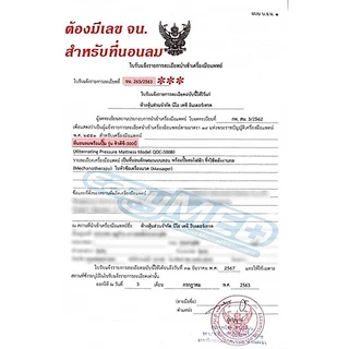 EazyMED ที่นอนลมป้องกันแผลกดทับ มี อย.(QDC300B)(ปั้มP1000)(แถมลอนอะไหล่ 1ลอน)
