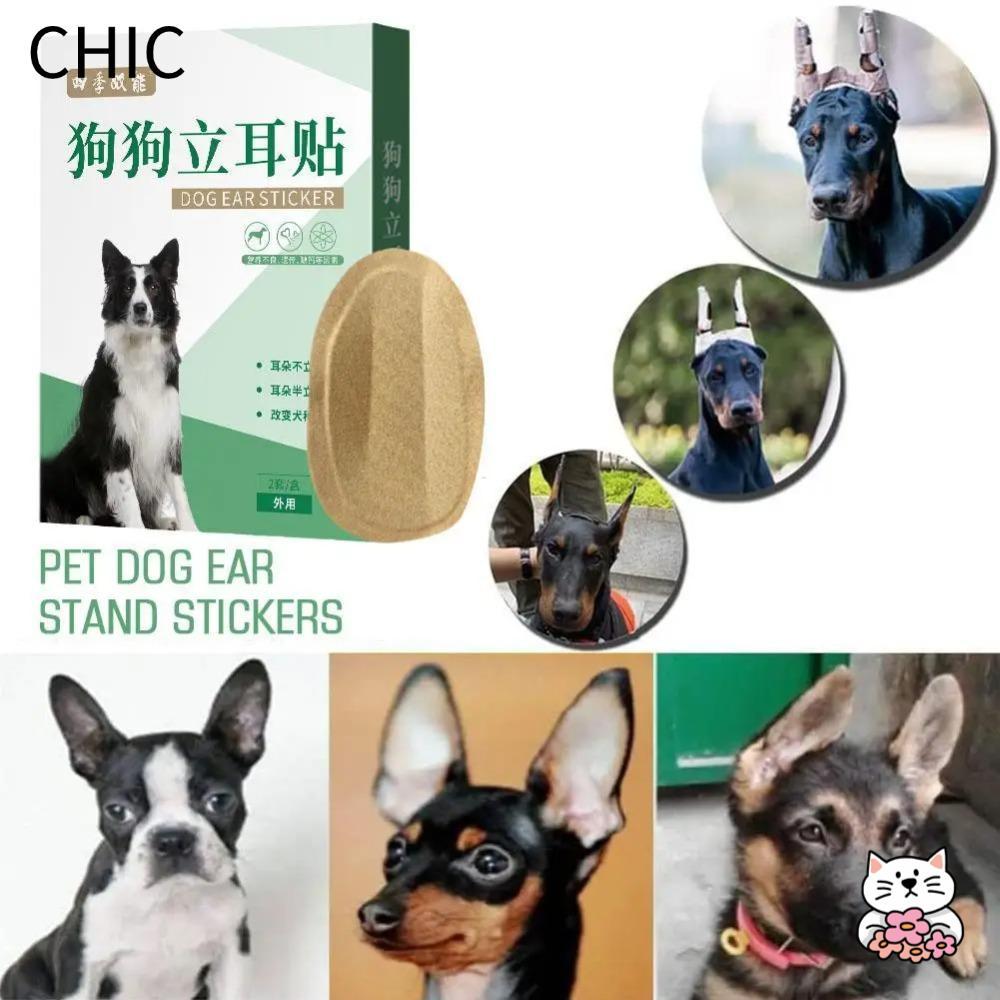 สติ๊กเกอร์แบบยืนหู CHIC, Doberman ฟรีกาวสําหรับการแก้ไขหู, อุปกรณ์เสริมที่หนีบผมตรง Corgi Arc Herb