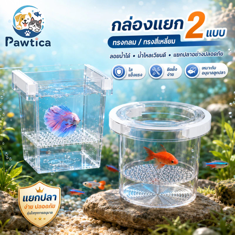 PawTica กล่องแยกปลา แบบลอยน้ำ