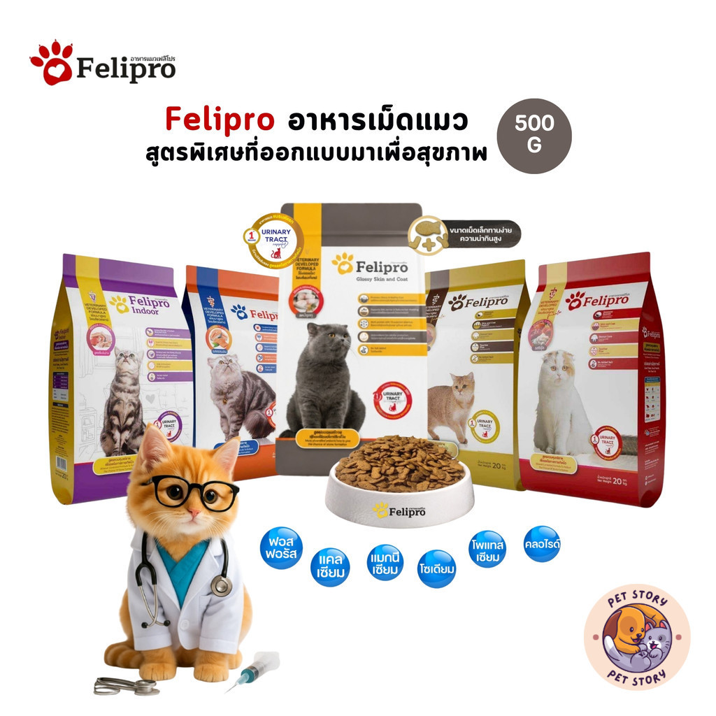 Felipro เฟลิโปร อาหารเม็ดแมว สูตรพิเศษที่ออกแบบมาเพื่อสุขภาพที่ดีของแมวทุกสายพันธุ์ ขนาด 500 กรัม