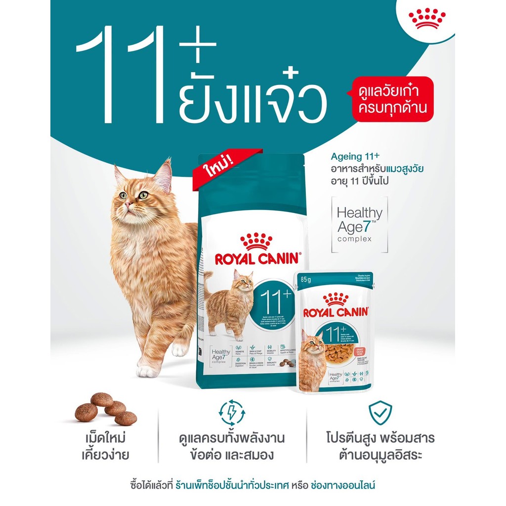 Royal Canin طعام جاف للقطط 400 غ (كل الأنواع) — صورة 8