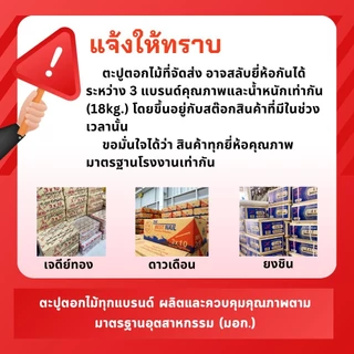 (ยกลัง) ตะปูตอกไม้ ส่งฟรี น้ำหนัก 18kg ตะปูยกลัง ตะปู3นิ้ว ตะปู4นิ้ว ตะปู2นิ้ว ตะปูนิ้วครึ่ง ตะปู1นิ้ว ตะปู5นิ้ว