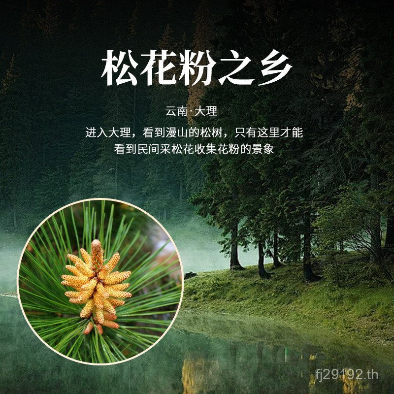 ผงเดิม200กรัมผมหางม้าสนไม่มีสารเติมแต่งทําชาสนเกสรขายตรงเลือกTongrentangปักกิ่งขายส่งทําน้ําDaigou T