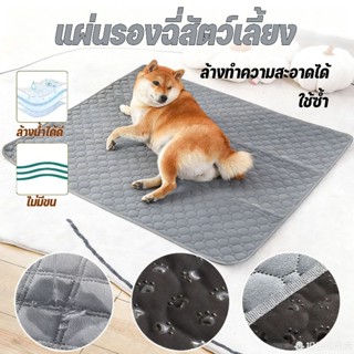แผ่นรองฉี่สัตว์เลี้ยง S/M/L/XL ซึมซับได้ดี ซักใช้ซ้ำได้ มีกั…