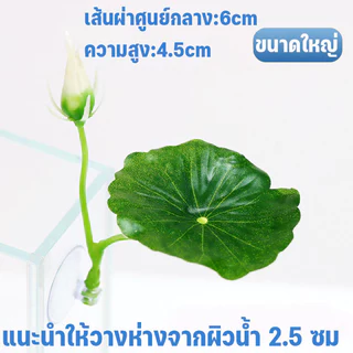 การตกแต่งตู้ปลา ใบไม้ปลอม ใบบัวจำลอง ปล่อยให้ปลาได้พัก การวางไข่ พืชน้ำจำลอง
