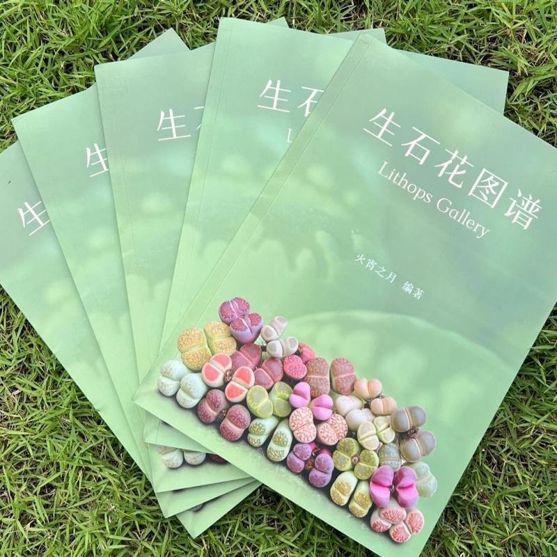 หนังสือสายพันธุ์ไลทอป lithops