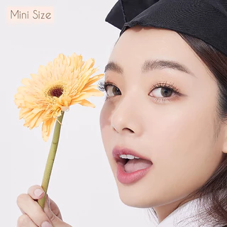 คอนแทคเลนส์รายวัน Jolly Blink สี Moony Brown 12 ชิ้น