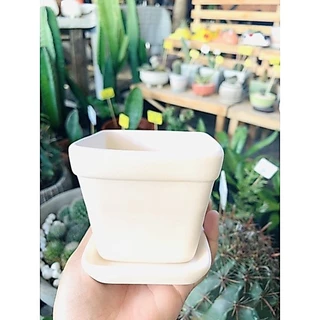 กระถางดินเผา ทรงสี่เหลี่ยมสีขาวธรรมชาติ4นิ้ว พร้อมจานรอง