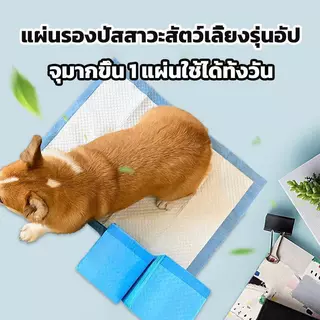 แผ่นรองฉี่สัตว์เลี้ยง ดูดซับกลิ่นเหม็นได้ดี ช่วยฝึกขับถ่าย เหมาะสุนัขทุกสายพันธุ์ บูลด็อก ชihuahua และแมว