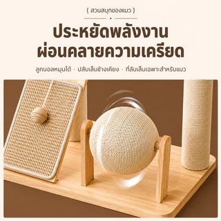 คอนโดแมวไม้ พร้อมโดมนอนแบบใส คอนโดแมว ตัวคอนโดแมวใหญ่ condoแมว กรอบปีนแมว โครงปีนแมว แคปซูลอวกาศ บ้านแมว คอนโดแมวไม้จริง
