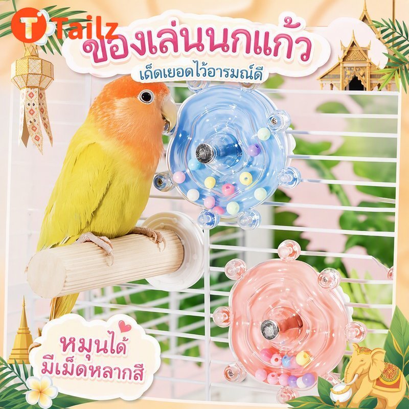 Tailz ของเล่นนกแก้ว ล้อหมุนกัดหาอาหาร ทนทาน ป้องกันกัดขน คลายเหงา พัฒนาสมอง นกแก้วเล็กกลาง อุปกรณ์กรงนก