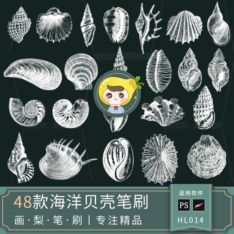 Ipad Painting Brush procreate Brush ps Brush Ocean Shell Seafood Element ภาพประกอบสายเสริม