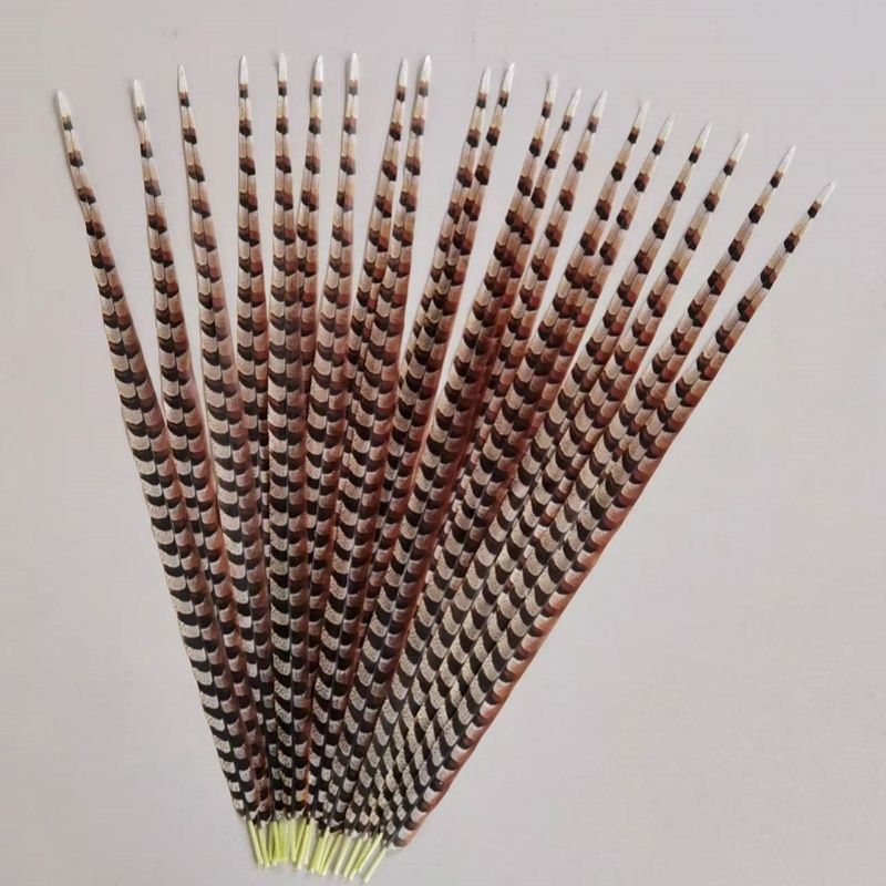 แนะนํา Drama Feather Feather Wild Chicken Feather Feather Feather Feather Feather Mu Guiying Wild Mo