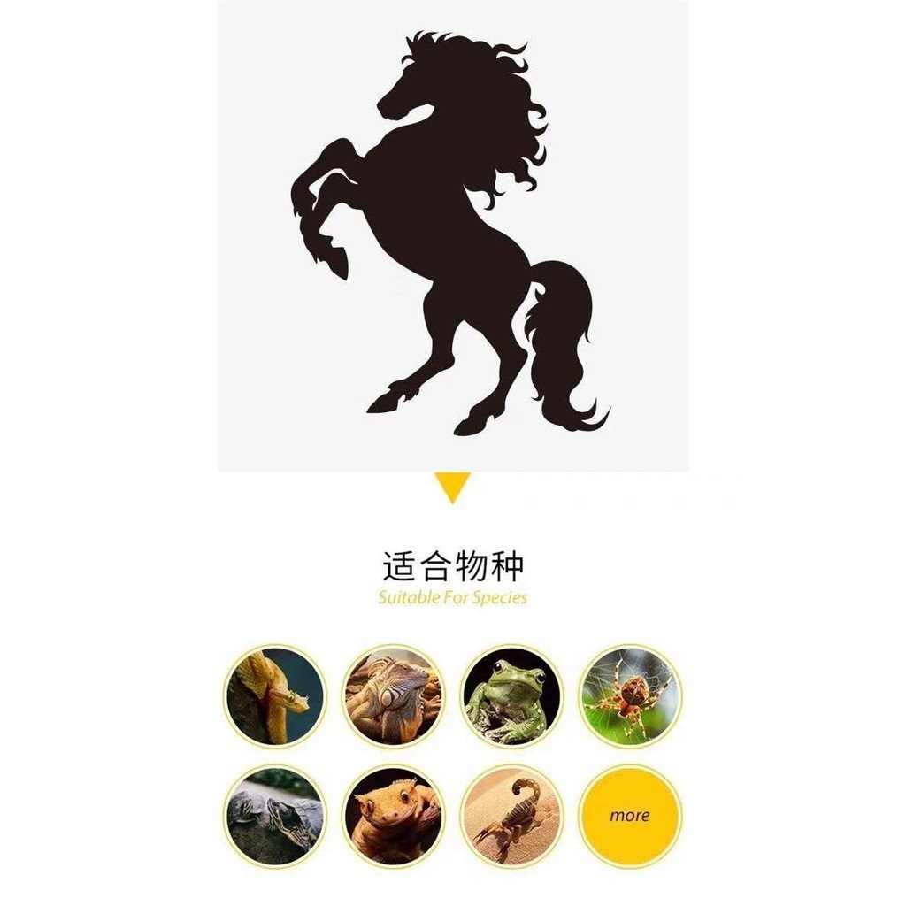 กล่องกล่อง Rock Birch Climbing Spider Gecko Breeding Box Lizard Hiding Hole Climbing Pet Mane Snake 