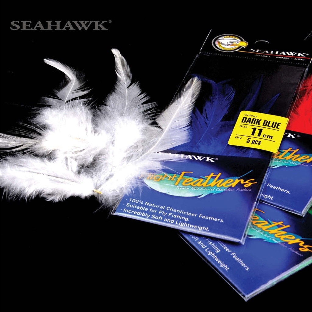 Seahawk Flight Feathers