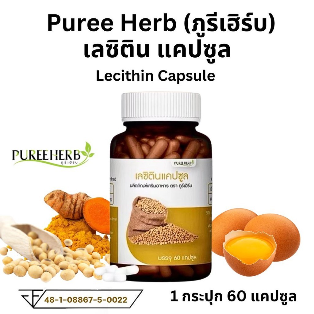 Puree herb Lecithin เลซิติน แคปซูล ตรา ภูรีเฮิร์บ เลซิติน แคปซูล พอกตับ นิ่ว เผาผลาญ ตับ ความจำ สมอง 1 ขวด 60 เม็ด