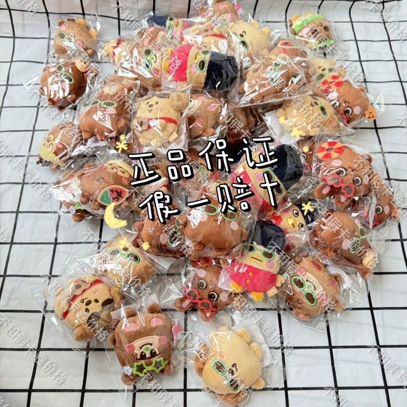 【พร้อมส่ง】riize ตุ๊กตา ตุ๊กตาเกาะ ตุ๊กตากวนๆ จี้พวงกุญแจ ตุ๊กตาหลอน ตุ๊กตา การ์ด riize album photoca