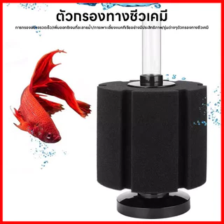 ⚡พร้อมส่งจากไทย⚡ 🐠 กรองฟองน้ำตู้ปลา ฟองน้ำกรองชีวภาพ ฟองน้ำกรองละเอียด น้ำใส ปลาแข็งแรง 💧