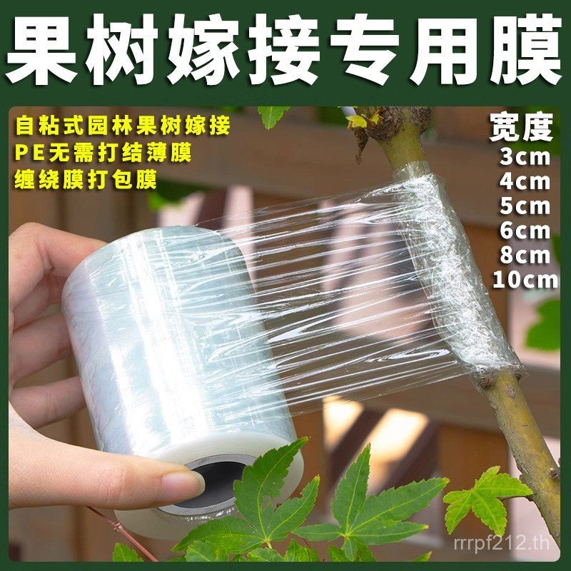 Cross-Border Garden Sealing Wine pe Grafting Film Knotted Takeaway Self-Adhesive Fruit Tree No PE Gr