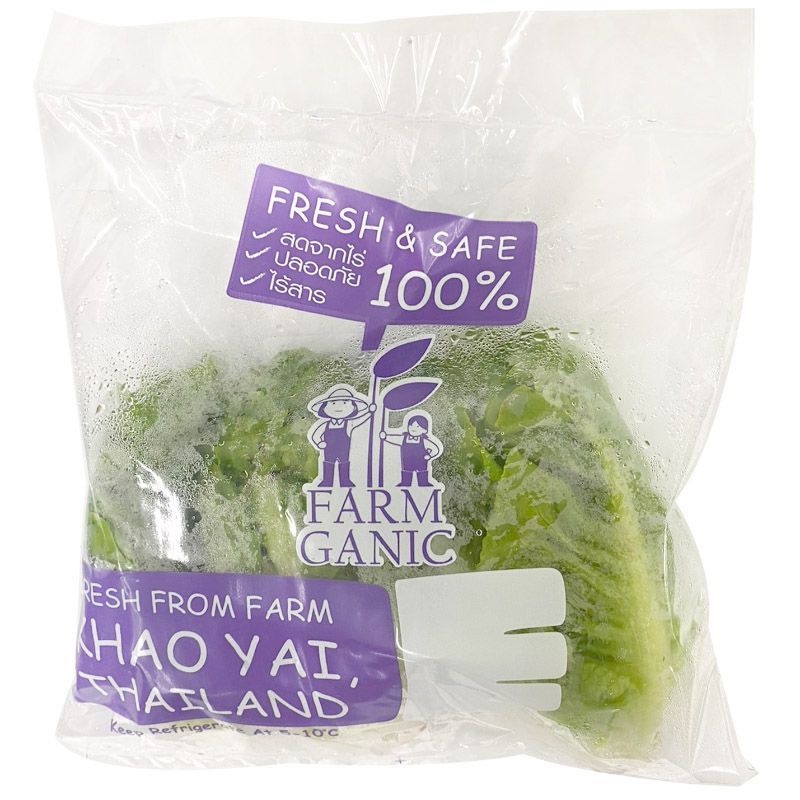 เบบี้คอสออร์แกนิค Organic Baby Cos Lettuce [หมายเลขบาร์โค้ด 0000048645607] สินค้าคุณภาพดีคัดสรรเพื่อคุณ