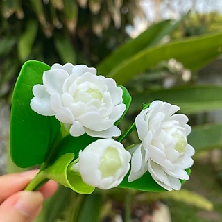ดอกไม้ติดผม ดอกไม้ดินประดิษฐ์ ดอกมะลิจิ๋ว