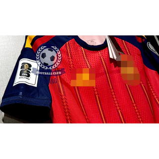 New! ! World Cup Football Shirt, Spanish National Team, Player, Footballer Grade, Home, Home Kit, (Spain - All People)