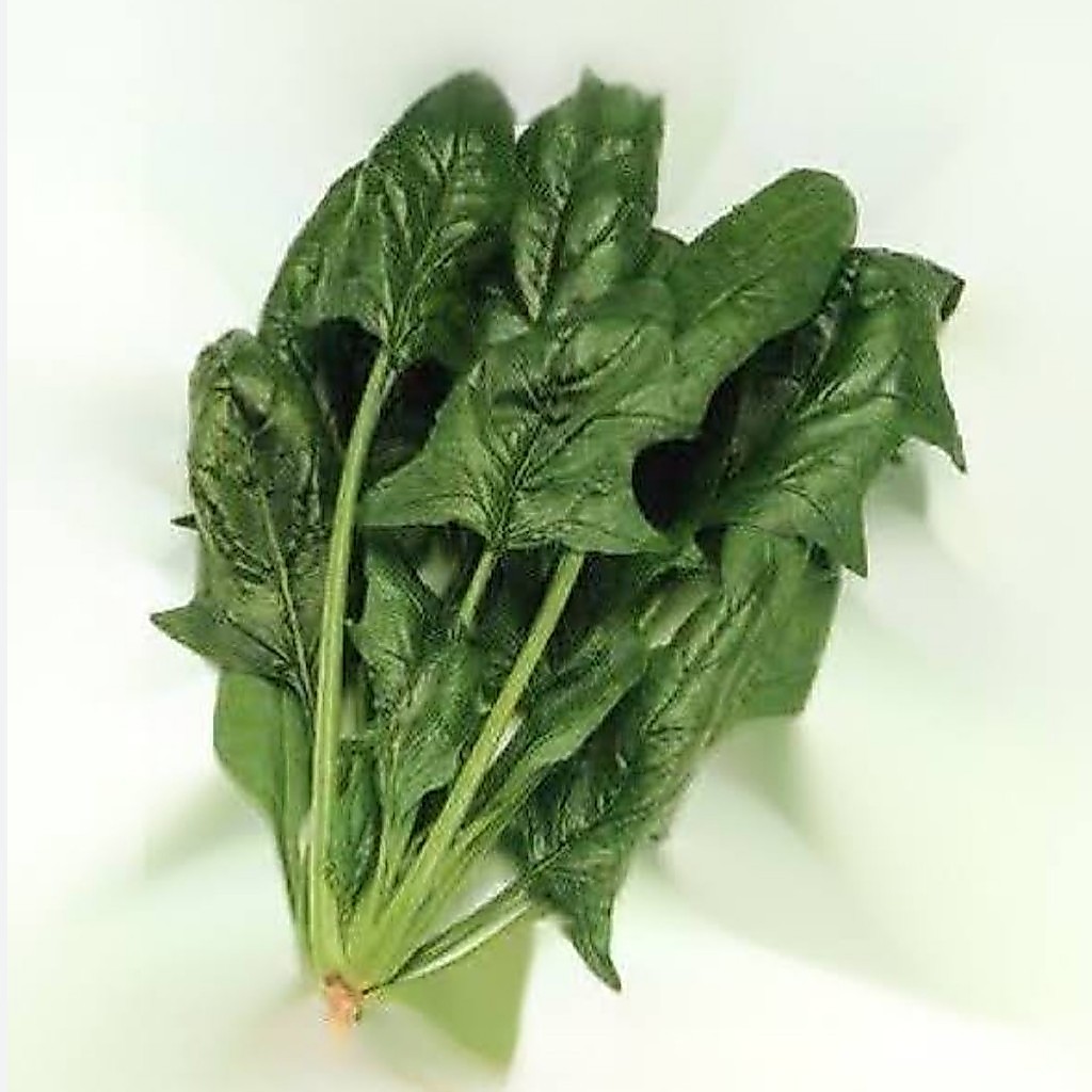 500 เมล็ด ปวยเล้ง (Spinach) เมล็ดปวยเล้ง รูปที่ 2