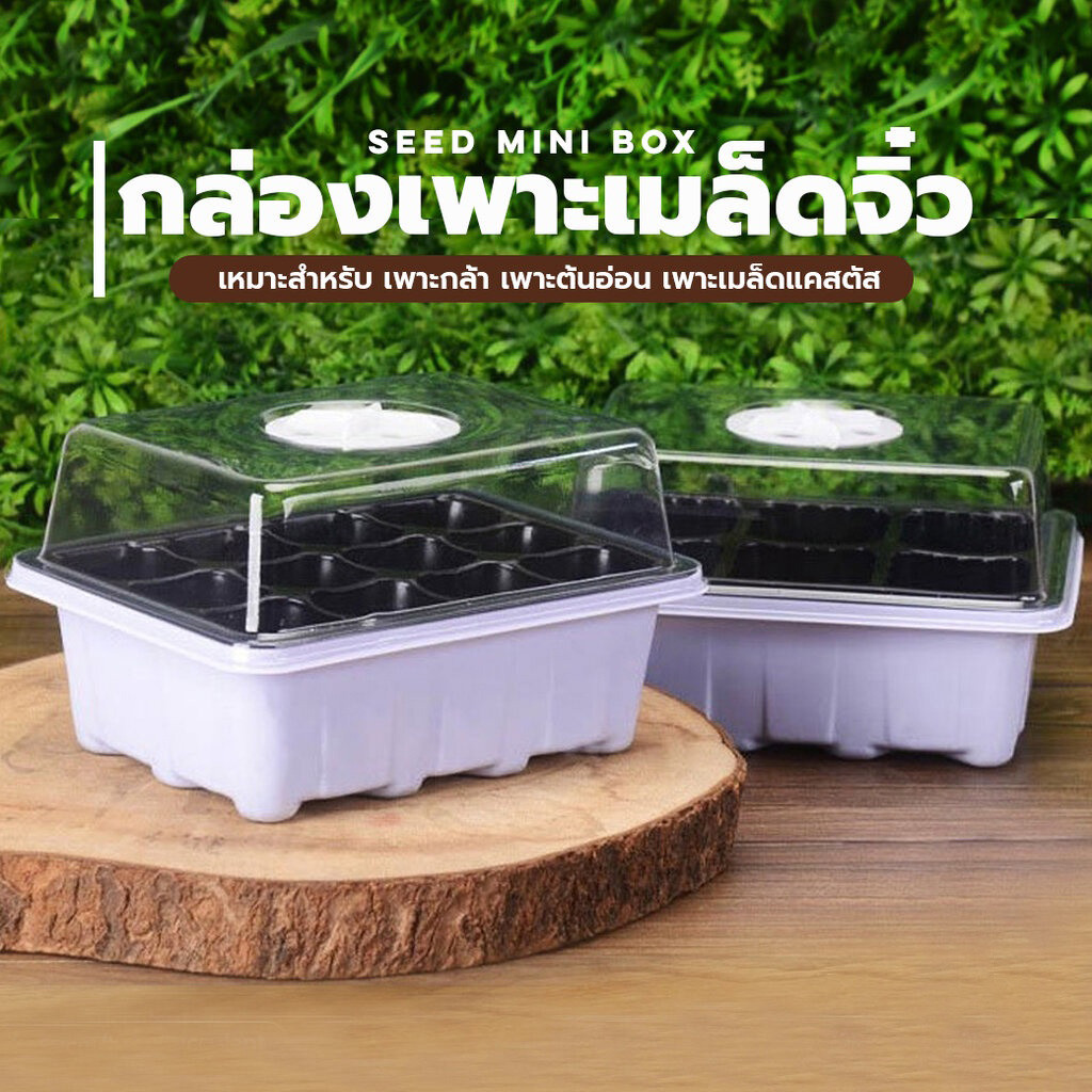 【พร้อมส่งด่วน】ชุดถาดเพาะเมล็ด กล่องเพาะเมล็ด กล่องเพาะกล้า ถาดปักชำกิ่ง พร้อมฝาบ่มระบายอากาศ ทรงสูง ควบแน่นต้นไม้