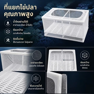 🐟กล่องตะข่ายแยกปลาลูกปลาขนาน เพาะพันธุ์ปลา กล่องฟักไข่ ตู้ฟักไข่ปลา แบบตาข่าย กล่องแยกปลา