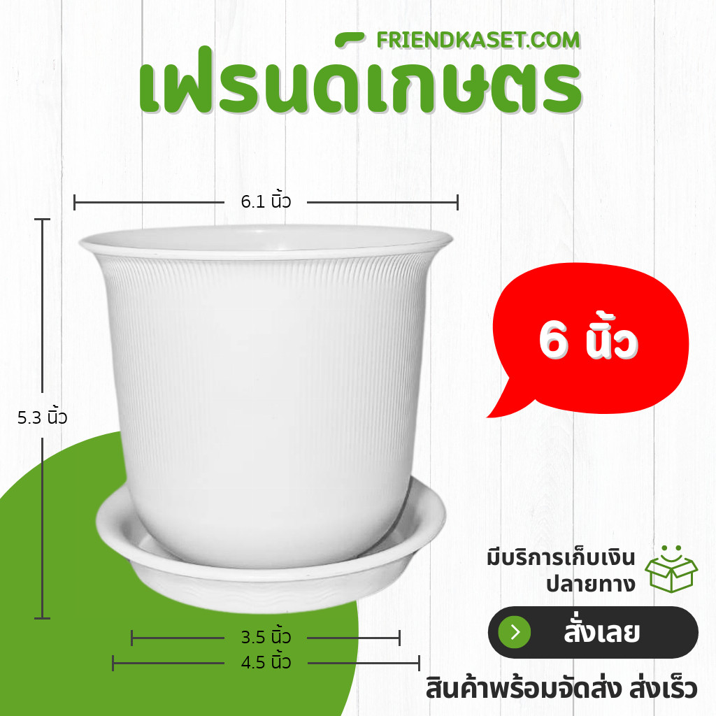 กระถาง กระถางต้นไม้ มินิมอล ถ้วยจีน+จาน ขนาด 6 นิ้ว สีขาว สีฟ้า ขั้นต่ำ 5 ใบ ชิ้น อัน