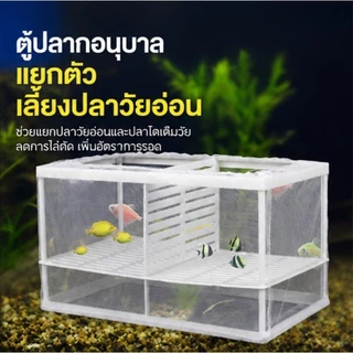 COD กล่องตะข่ายแยกปลาลูกปลาขนาน เพาะพันธุ์ปลา กล่องฟักไข่ ตู้ฟักไข่ปลา แบบตาข่าย กล่องแยกปลา