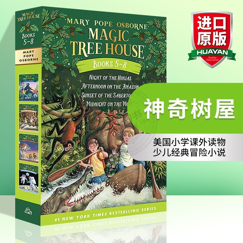 โรงเรียนประถมศึกษา house5-8 magic tree magic Art American House Book tree การอ่านนอกหลักสูตร