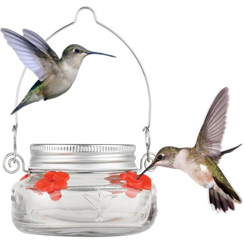 ผลิตภัณฑ์ทางวิธี MJF1 Way Mason Jar Humming Dish Feeder แบบใส